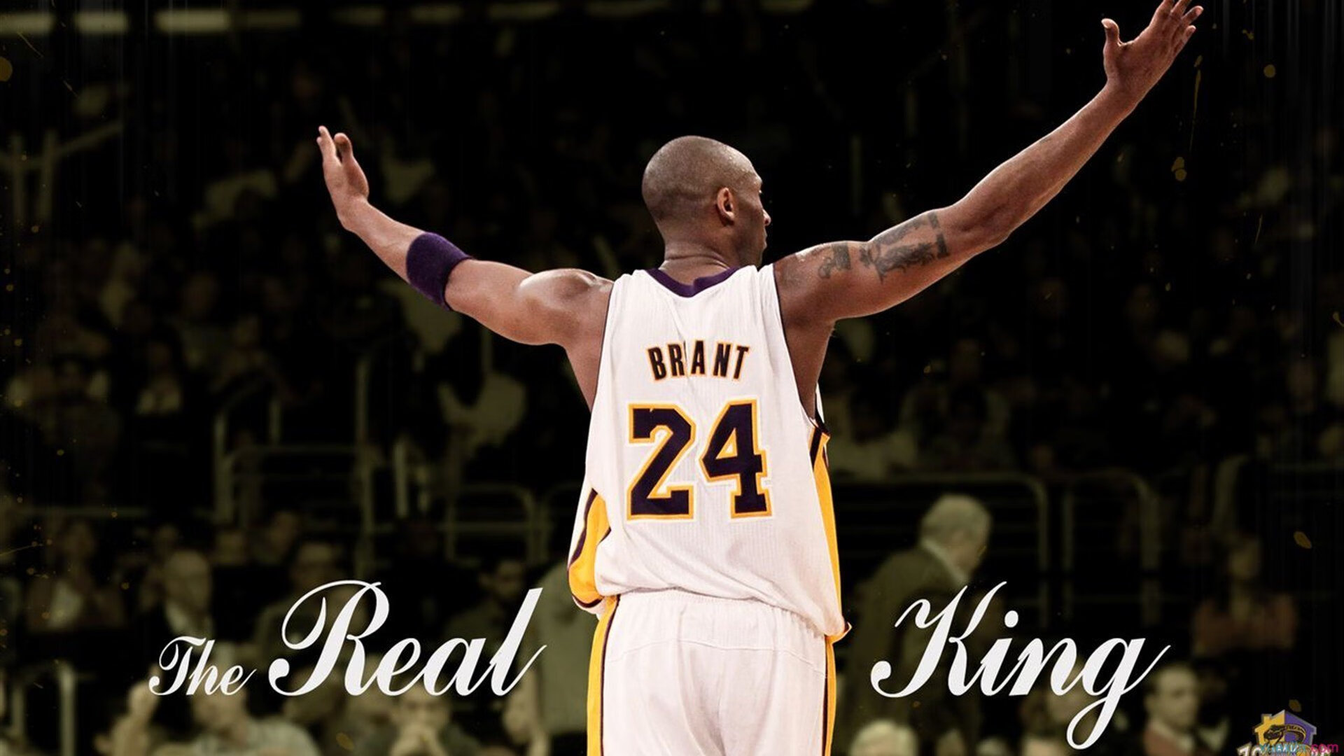 新疆冰火重锤砸碎骑士铠甲！霍勒迪生死战化身关键先生主宰西决